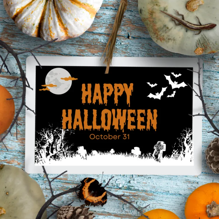 Retrouvez les lentilles pour Halloween chez votre opticien Allons Voir à Casteljaloux., Casteljaloux, ALLONS VOIR NOTRE OPTICIEN